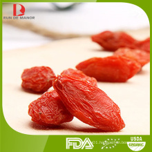 Lycium barbarum polysaccharides Goji Berry/red wolfberry
